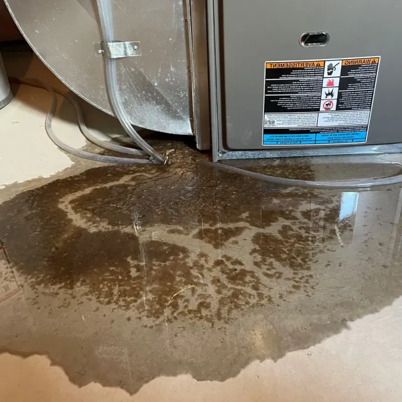 Pipe Burst and Leak Restoration in Dorneyville, PA