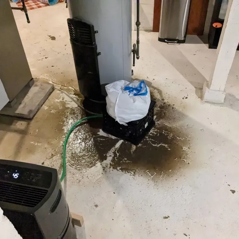 Sewage Backup Cleanup Service in Dorneyville, PA